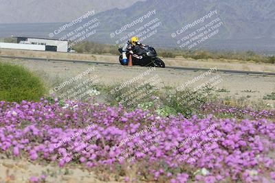 media/Feb-04-2023-SoCal Trackdays (Sat) [[8a776bf2c3]]/Turn 15 Inside Blooming (1050am)/